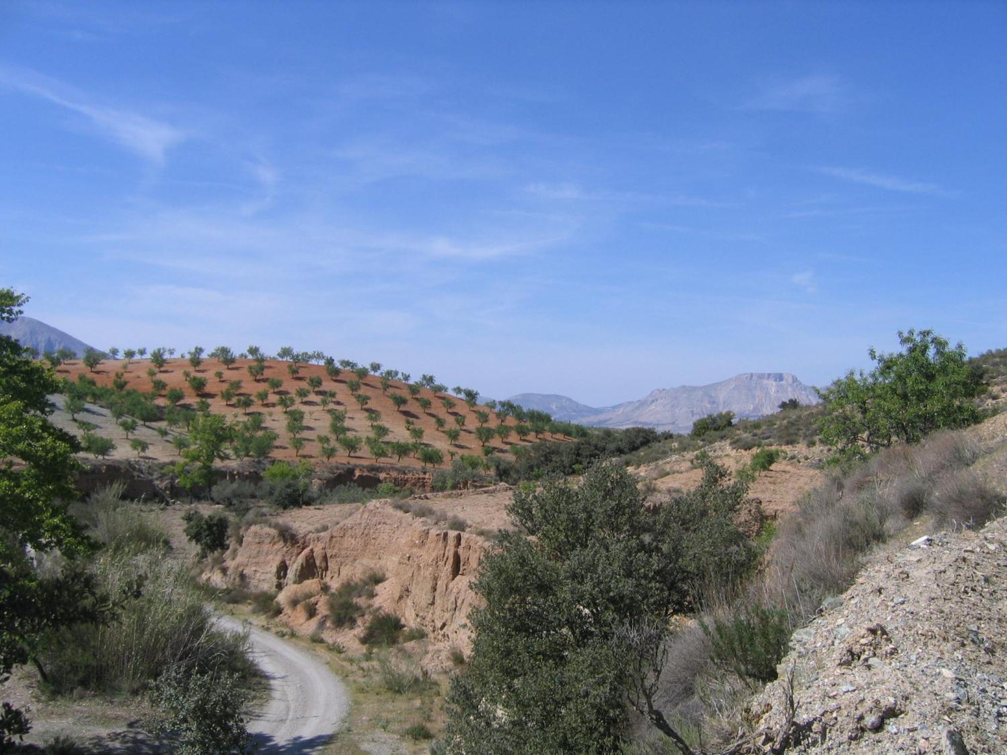 Cortijo La Estrella Apartment เบเลซรูบิโอ ภายนอก รูปภาพ
