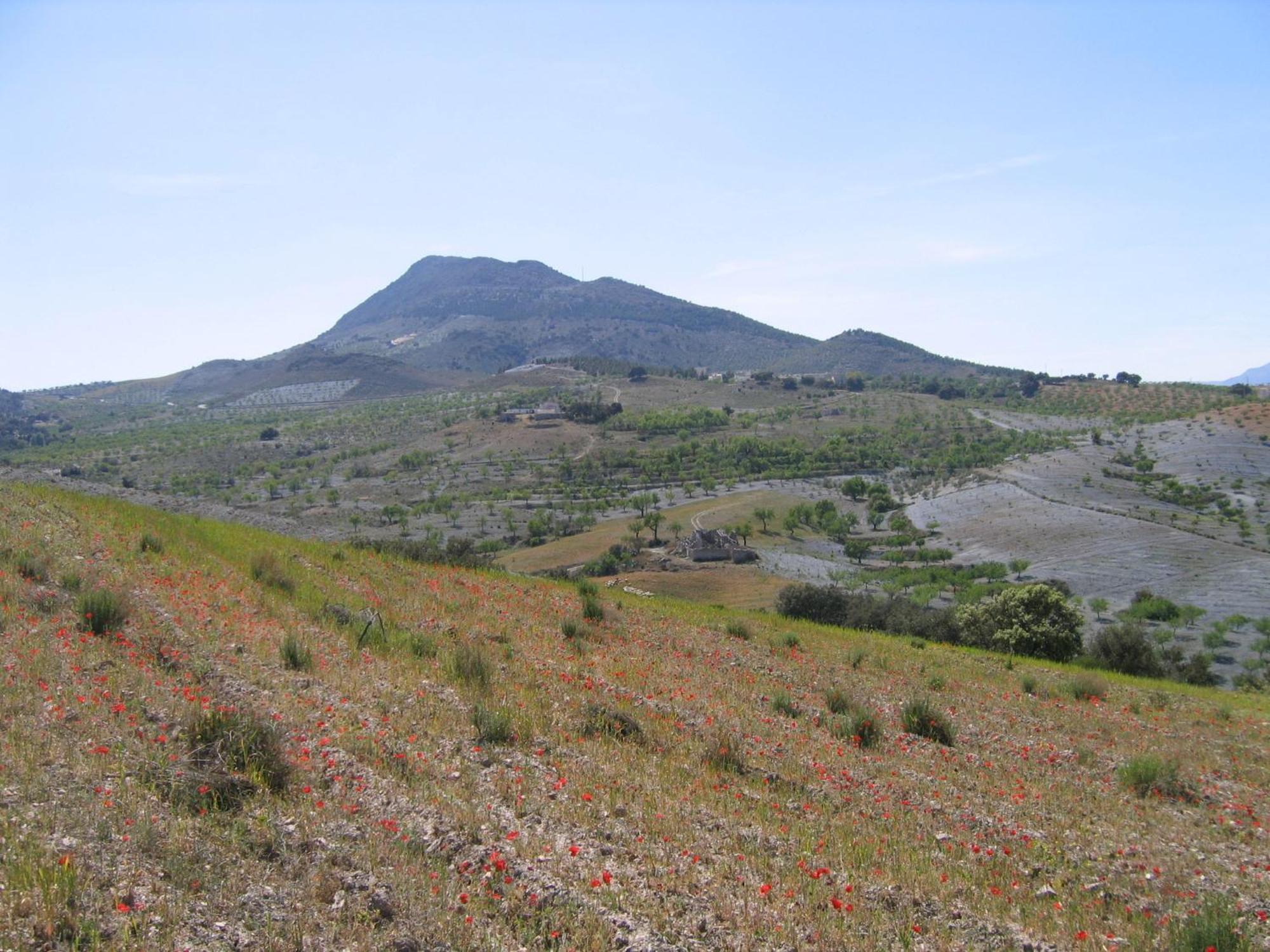 Cortijo La Estrella Apartment เบเลซรูบิโอ ภายนอก รูปภาพ