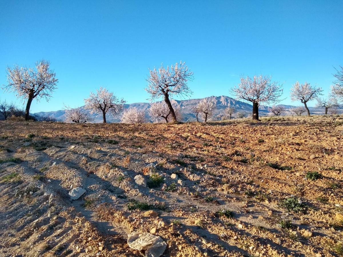Cortijo La Estrella Apartment เบเลซรูบิโอ ภายนอก รูปภาพ